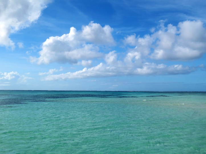 Scenery near Pigeon Point in Tobago. Photo by Wake and Wander.