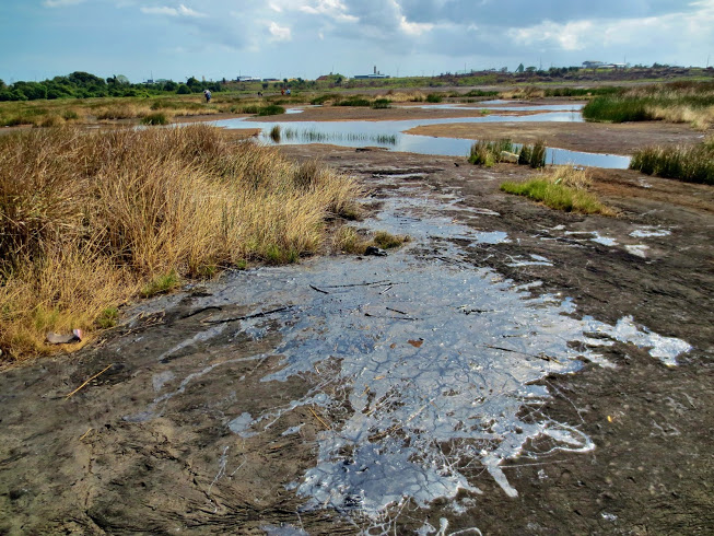 Pitch Lake in Trinidad. Photo by Wake and Wander. 