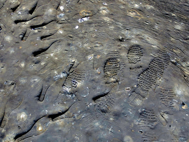 Pitch Lake in Trinidad. Photo by Wake and Wander. 