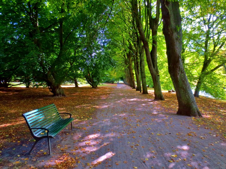 Fall colors at the beginning of September in Malmo, Sweden. Photo by Wake and Wander.