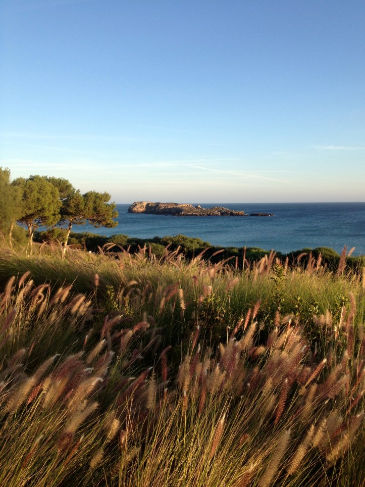 Scenery near Sagres in the South of Portugal. Photo by Wake and Wander.