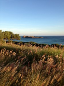 Scenery near Sagres in the South of Portugal. Photo by Wake and Wander.