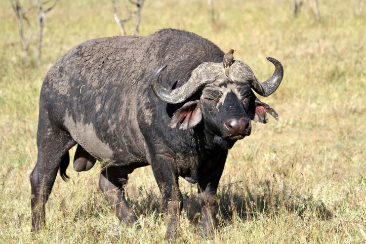 Photo by Wake and Wander. 