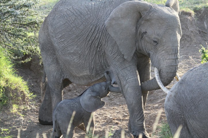 Photo by Wake and Wander. 