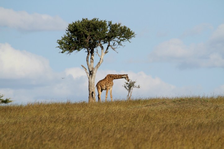 Photo by Wake and Wander. 