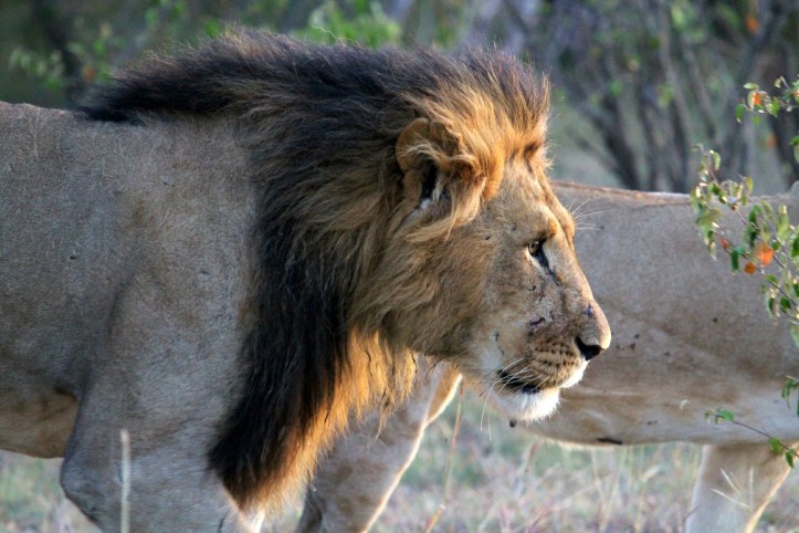 Photo by Wake and Wander. 