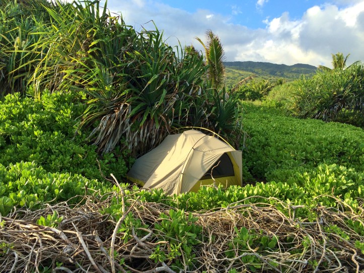 East side of Haleakala National Park, Maui. Photo by Wake and Wander. 