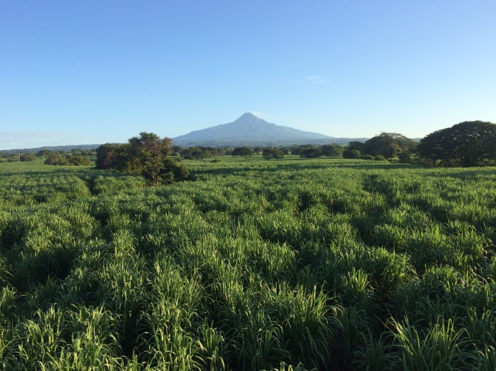 Colima Volcano
